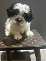 processed/7a516169-fab6-45f8-8b5c-3b79734d16d3/listing/52270681-ce13-4fc5-be98-ad3a34c639d4/3bc3a6cf-485a-4cd2-b5f2-575657308ad6