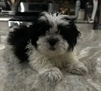 processed/7a516169-fab6-45f8-8b5c-3b79734d16d3/listing/52270681-ce13-4fc5-be98-ad3a34c639d4/68725206-b51e-4b3b-a153-b5a68a7438e5