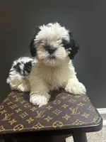 processed/7a516169-fab6-45f8-8b5c-3b79734d16d3/listing/52270681-ce13-4fc5-be98-ad3a34c639d4/6ddb4798-2c16-4c58-a1ce-bba8f90ee88d