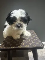 processed/7a516169-fab6-45f8-8b5c-3b79734d16d3/listing/52270681-ce13-4fc5-be98-ad3a34c639d4/89dc743d-7291-4d4a-a619-219312efccd4