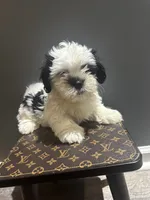 processed/7a516169-fab6-45f8-8b5c-3b79734d16d3/listing/52270681-ce13-4fc5-be98-ad3a34c639d4/c7ec8408-1f5e-4838-b507-1d2aee4a32c3