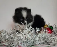 processed/7a5a3e3d-fda4-4c80-b4ab-266e4caab45f/listing/d1a63d6a-e7f9-4b5c-ae97-ffc7672be7b2/b8936602-7167-43bf-b7ff-f82f62d76461