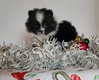 processed/7a5a3e3d-fda4-4c80-b4ab-266e4caab45f/listing/d1a63d6a-e7f9-4b5c-ae97-ffc7672be7b2/e1b8d0ce-77b9-48b5-907c-b0f7ecc61e96