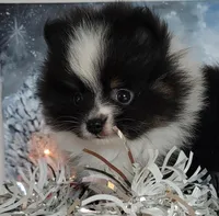 processed/7a5a3e3d-fda4-4c80-b4ab-266e4caab45f/listing/d1a63d6a-e7f9-4b5c-ae97-ffc7672be7b2/e3fd4acd-c339-453e-b871-3eb8d0cdc455