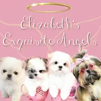 processed/7a5e70c1-ae8b-4c4c-bb77-42092f29b730/facility/13bdf415-489d-493f-865d-674250e544de