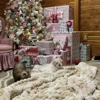 processed/7a5e70c1-ae8b-4c4c-bb77-42092f29b730/facility/504ecbd8-f492-4406-a5f3-2a63b007d55d