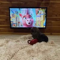 processed/7a5e70c1-ae8b-4c4c-bb77-42092f29b730/facility/7e28d3d3-8451-4c7e-8e25-88925e9bcfb3