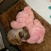 processed/7a5e70c1-ae8b-4c4c-bb77-42092f29b730/facility/7eef719e-b2a6-4aff-a84c-f7fd37b6a5a4