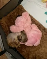 processed/7a5e70c1-ae8b-4c4c-bb77-42092f29b730/facility/7eef719e-b2a6-4aff-a84c-f7fd37b6a5a4