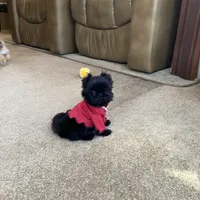 processed/7a5e70c1-ae8b-4c4c-bb77-42092f29b730/facility/a6613be1-8124-4fb9-8f68-01f8ebf4e653