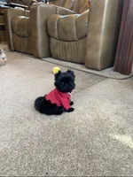 processed/7a5e70c1-ae8b-4c4c-bb77-42092f29b730/facility/a6613be1-8124-4fb9-8f68-01f8ebf4e653