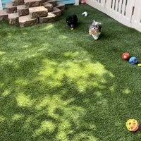 processed/7a5e70c1-ae8b-4c4c-bb77-42092f29b730/facility/e77511d8-62c8-4c6a-b67c-93f1c21c00be