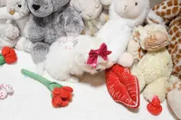 Gwendolyn, a female Maltese for sale in Baxter Springs, KS – Photo 6 of 10