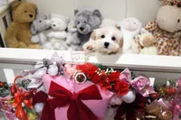 processed/7a5e70c1-ae8b-4c4c-bb77-42092f29b730/listing/30f10742-fefb-4080-a6be-15cbb34c29a3/030c670b-3cbf-4031-ac92-9f736ee7aaae