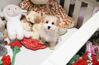 processed/7a5e70c1-ae8b-4c4c-bb77-42092f29b730/listing/30f10742-fefb-4080-a6be-15cbb34c29a3/06702ed7-e565-49b9-9ecc-5ceaa0ff2db3