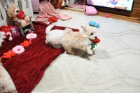 processed/7a5e70c1-ae8b-4c4c-bb77-42092f29b730/listing/30f10742-fefb-4080-a6be-15cbb34c29a3/48f798ed-8ed4-46a1-9736-637fc4542dfa