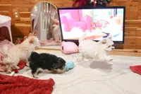 processed/7a5e70c1-ae8b-4c4c-bb77-42092f29b730/listing/30f10742-fefb-4080-a6be-15cbb34c29a3/bfb4cc2f-ef65-40bb-ac9f-40238164fc06