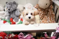 processed/7a5e70c1-ae8b-4c4c-bb77-42092f29b730/listing/30f10742-fefb-4080-a6be-15cbb34c29a3/c074cd10-e9ee-4ef4-87cc-cd3481fcc0fe