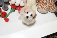 processed/7a5e70c1-ae8b-4c4c-bb77-42092f29b730/listing/30f10742-fefb-4080-a6be-15cbb34c29a3/c1a513ae-978d-4d99-9ee0-314e9dbb0361