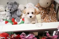 processed/7a5e70c1-ae8b-4c4c-bb77-42092f29b730/listing/30f10742-fefb-4080-a6be-15cbb34c29a3/c1e47bba-3c2b-4cce-bf5a-f4df78cb9bf4