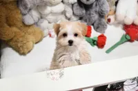 processed/7a5e70c1-ae8b-4c4c-bb77-42092f29b730/listing/4ce57215-f74e-4af4-8fd4-2c709549040a/014fb7bb-d3bd-4837-847a-5839d2f7cd28