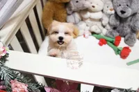 processed/7a5e70c1-ae8b-4c4c-bb77-42092f29b730/listing/4ce57215-f74e-4af4-8fd4-2c709549040a/166f82fc-b860-4d88-b06f-c115a01f4356