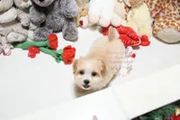 processed/7a5e70c1-ae8b-4c4c-bb77-42092f29b730/listing/4ce57215-f74e-4af4-8fd4-2c709549040a/5299c5c9-d797-4ff3-b4d5-180dd1a1ff1f