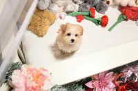 processed/7a5e70c1-ae8b-4c4c-bb77-42092f29b730/listing/4ce57215-f74e-4af4-8fd4-2c709549040a/b1309852-890a-4653-a3a1-d686c4b8a0d2