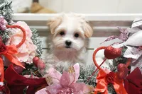 processed/7a5e70c1-ae8b-4c4c-bb77-42092f29b730/listing/4ce57215-f74e-4af4-8fd4-2c709549040a/b14ad10f-6534-4f00-8962-fbaae9ace335