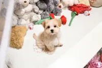 processed/7a5e70c1-ae8b-4c4c-bb77-42092f29b730/listing/4ce57215-f74e-4af4-8fd4-2c709549040a/d28bd9a2-cab2-41aa-8f8c-ba50b7cef89a