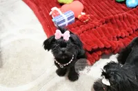 processed/7a5e70c1-ae8b-4c4c-bb77-42092f29b730/listing/624758a8-90f9-4324-a144-ae602781a784/150581e6-b5c7-41da-9828-ea7d1f268c25