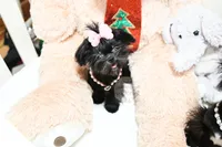 processed/7a5e70c1-ae8b-4c4c-bb77-42092f29b730/listing/624758a8-90f9-4324-a144-ae602781a784/b596ca77-8818-481e-9456-cffd96efe086