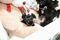 processed/7a5e70c1-ae8b-4c4c-bb77-42092f29b730/listing/624758a8-90f9-4324-a144-ae602781a784/c2ef9b98-132c-42ce-bb53-ec305993214b