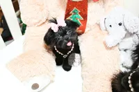 processed/7a5e70c1-ae8b-4c4c-bb77-42092f29b730/listing/624758a8-90f9-4324-a144-ae602781a784/c7d4268f-81e3-4482-b15f-52f8b1233520