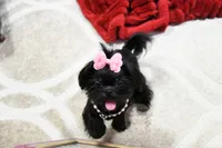 processed/7a5e70c1-ae8b-4c4c-bb77-42092f29b730/listing/624758a8-90f9-4324-a144-ae602781a784/f74a4765-d742-4024-96f8-5a8eea78d234