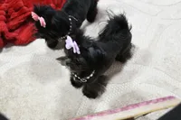 processed/7a5e70c1-ae8b-4c4c-bb77-42092f29b730/listing/790e3a7c-fdf2-4e68-8205-4017b8a93967/0c6c757d-56a5-447d-9711-939608f5723d