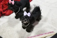 processed/7a5e70c1-ae8b-4c4c-bb77-42092f29b730/listing/790e3a7c-fdf2-4e68-8205-4017b8a93967/362923fe-5d64-4a2a-b176-0ebeee115701