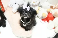 processed/7a5e70c1-ae8b-4c4c-bb77-42092f29b730/listing/790e3a7c-fdf2-4e68-8205-4017b8a93967/416479d1-31b6-4ad8-9898-f53f1aa8e805