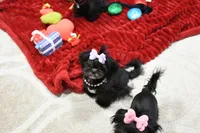 processed/7a5e70c1-ae8b-4c4c-bb77-42092f29b730/listing/790e3a7c-fdf2-4e68-8205-4017b8a93967/5440a466-f068-4ff6-8a8b-87dd869e2bf4