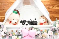 processed/7a5e70c1-ae8b-4c4c-bb77-42092f29b730/listing/790e3a7c-fdf2-4e68-8205-4017b8a93967/98776305-0f03-4462-abeb-4c9ad3ca0fce