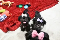 processed/7a5e70c1-ae8b-4c4c-bb77-42092f29b730/listing/790e3a7c-fdf2-4e68-8205-4017b8a93967/b2441bbd-d68c-4502-8724-02e079073d8e