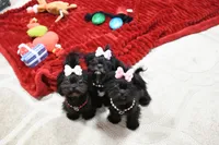 processed/7a5e70c1-ae8b-4c4c-bb77-42092f29b730/listing/790e3a7c-fdf2-4e68-8205-4017b8a93967/c6af6cfe-e07b-4b6e-99f0-5ef93cdecde5