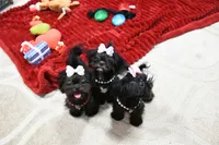 processed/7a5e70c1-ae8b-4c4c-bb77-42092f29b730/listing/790e3a7c-fdf2-4e68-8205-4017b8a93967/d69df6fb-4a3b-4747-8571-eba2645b68f5