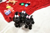 processed/7a5e70c1-ae8b-4c4c-bb77-42092f29b730/listing/7eb11c3d-a5ac-4bec-838f-fb3c6de4486f/1eafb8b3-9a10-40d3-88c3-dc9b74d1892e