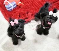 processed/7a5e70c1-ae8b-4c4c-bb77-42092f29b730/listing/7eb11c3d-a5ac-4bec-838f-fb3c6de4486f/4d491bc7-be54-4117-91b4-a10a955828d0