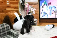 processed/7a5e70c1-ae8b-4c4c-bb77-42092f29b730/listing/7eb11c3d-a5ac-4bec-838f-fb3c6de4486f/787da5af-565d-4e3e-b762-e962c1e41491