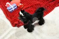 processed/7a5e70c1-ae8b-4c4c-bb77-42092f29b730/listing/7eb11c3d-a5ac-4bec-838f-fb3c6de4486f/7e3a489d-2292-42b1-a60b-0f3d3130a9b3