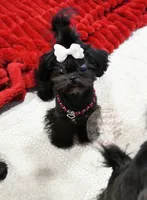 processed/7a5e70c1-ae8b-4c4c-bb77-42092f29b730/listing/7eb11c3d-a5ac-4bec-838f-fb3c6de4486f/90072ee1-3826-4b3c-8a40-a66bf9745b0f