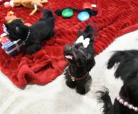 processed/7a5e70c1-ae8b-4c4c-bb77-42092f29b730/listing/7eb11c3d-a5ac-4bec-838f-fb3c6de4486f/c4fc719e-3b93-4810-86f4-f791860e7797