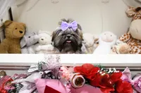 processed/7a5e70c1-ae8b-4c4c-bb77-42092f29b730/listing/9ffbc38a-5014-4075-9160-109293c875c0/2fad8bba-ae30-4139-9235-5a9b7fa46c77